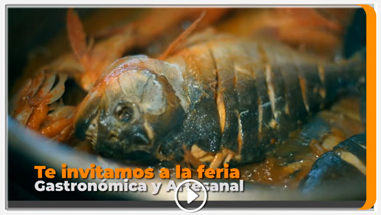CAMPAÑA “ELIMINEMOS LAS CUNETAS”